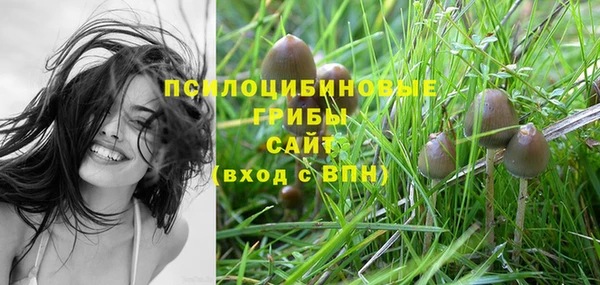 ALPHA-PVP Армянск