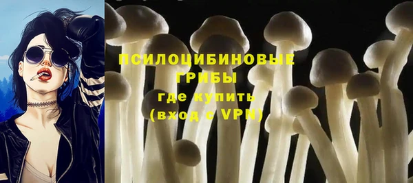 крисы Аркадак