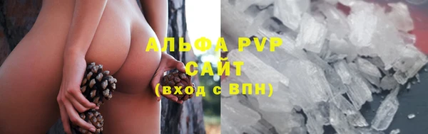 крисы Аркадак