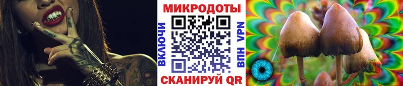 Галлюциногенные грибы Cubensis  Калтан 